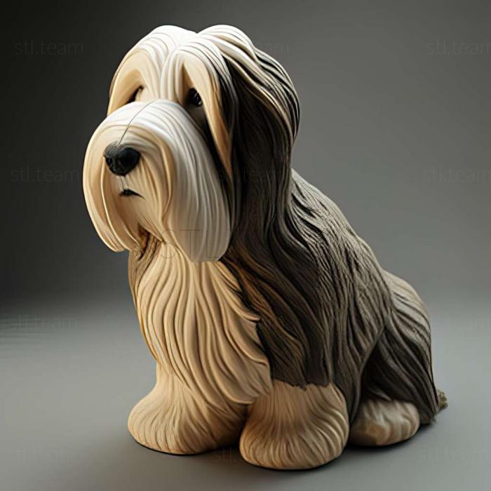 3D модель Бородата собака коллі (STL)